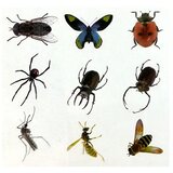  Prehistory Creative Set Create Amber Insects | Shoptok.si