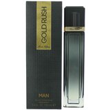 Paris Hilton Gold Rush Man Eau De Toilette 100 ml (man) Cijene