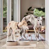 OYOY Living Design Keramička zdjela za hranu za ljubimce za pse &amp;oslash; 17 cm Sia &amp;ndash; Slike