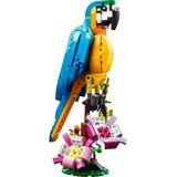 Lego eksotični papagaj - 31136 | Shoptok.si