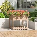 vidaXL Visoka greda s polico 82,5x82,5x81 cm trdna borovina