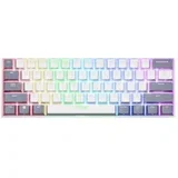 GXT873 ACIRA TRI WRLS WHT (26052)