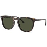 Ray-ban RB2210 902/31 ONE SIZE (53) Havana/Zelena Cene