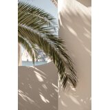 Venture Home poster Palmleaf 21 × 30 cm, bež | shoptok.hr