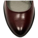 Maciejka 0262923001 Bordo | shoptok.hr