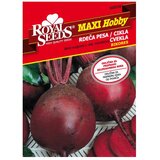 ROYAL SEEDS Sjeme povrća MAXI HOBBY 38 CIKLA BIKORES | shoptok.hr