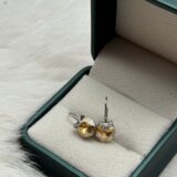  Srebrene naušnice | Eponuda.ba