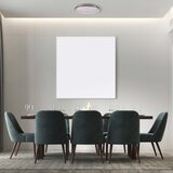  LED prigušiva plafonsko svetlo za kupatilo GRAŻYNA, LED/48W/230V, 3000-6000K, prečnik 41 cm, IP44, + daljinski upravljač | Eponuda.com