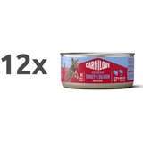 Carnilove Cat Kitten konzerva, pate - puran in losos - 100 g 12 x 100 g Cene