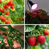  LED sijalica za rast biljaka PLANTY E27/9W/230V 1200K crna | Eponuda.com