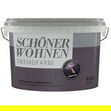 Boja za zid SCHÖNER WOHNEN Trend (Universe, Mat, 2,5 l) | shoptok.hr