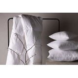 Venture Home unutarnji jastuk Clara 60 × 60 cm | shoptok.hr