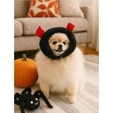 Sinsay Halloween kostim za psa i mačku | shoptok.hr