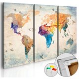  Slika na plutenoj podlozi - Free as a bird [Cork Map] 60x40 Cijene