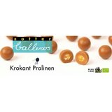 Zotter Schokoladen Bio balleros krhke praline Cene