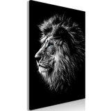  Slika - Blue-eyed Lion (1 Part) Vertical 40x60 | shoptok.hr