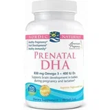 Prenatalna DHA