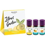 TAOASIS Baldini 3-dijelni mirisni set Citrus Garden®, bio - 15 ml Cijene