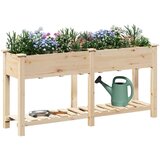 vidaXL Vrtni zasadni posod z mrežami 161x43x76 cm Trden bor, (22010825) | Shoptok.si