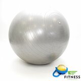 MANIDEA lopta za pilates 55 cm Cene
