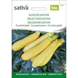 Sativa Bio rumene bučke “Auslese ” | Shoptok.si