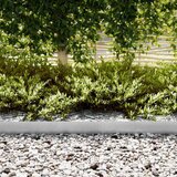  Ograda oko Travnjaka 30 pcs Srebrno 100 x 0,05 x 15 cm | shoptok.hr