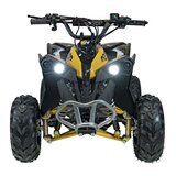 Ramiz Otroški štirikolesnik RENEGADE HIPERFECT 110CC zelena | Shoptok.si