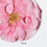 Clinique Mini Kit Aromatic Elixir Essentials darilni set za ženske | Shoptok.si