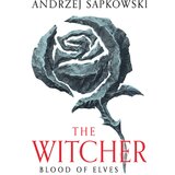 Hachette Andrzej Sapkowski - Blood of Elves | Eponuda.com