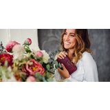 Vuch Magnus Lila | ePonuda.com