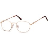 Berkeley Naočare 794C | ePonuda.com