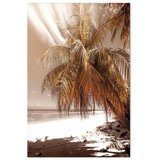  Slika - Palm Shadow (1 Part) Vertical 60x90 Premium Print | shoptok.hr