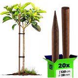KADAX Leseni koli, nabrušeni, impregnirani koli 120 cm, podporna palica Fi 28 mm 20x, (5000362638) | Shoptok.si
