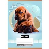  Nebulo: zvezek s kvadratki, A5 - različni | Shoptok.si