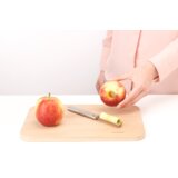 Brabantia Rezalna deska za meso | Shoptok.si