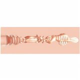 XKIN realistična umjetna vagina masturbator - L (naturalna) | shoptok.hr