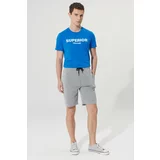 AC&Co / Altınyıldız Classics Men's Light Gray Melange Standard Fit Daily Comfortable Sports Knitted Shorts