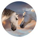 KS popsockets držalo / stojalo popgrip basic - sunset horses | Shoptok.si