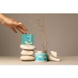 Organique Sea Essence Detox Therapy pjena za tuširanje 200 ml | shoptok.hr