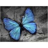  Tapeta - Alated 250x193 | shoptok.hr