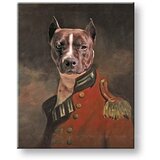 Fotografija na platnu pet portrait General_4 - 75x90 cm