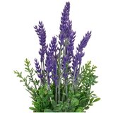 Casa Selección Umetna sivka 2 ks (višina 27 cm) – | Shoptok.si