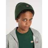 Dickies Kape 'Gibsland' jelka | Shoptok.si