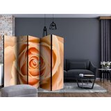  Paravan u 5 dijelova - Peach-colored rose II [Room Dividers] 225x172 | shoptok.hr