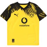 Puma Funkcionalna majica 'Borussia Dortmund' temno rumena / črna Cene