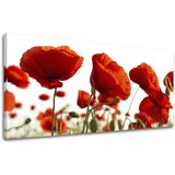  Panoramska stenska slika Cvetje 60x120 cm | Shoptok.si