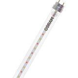 Osram LED svjetlo za biljaka LED TUBE T8 18 EM FLUORA 600 mm 6.6W 604.00 mm G13 6.6 W toplo bijela oblik cijevi 1 kom. Cijene