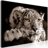  Slika - Magic Eyes (1 Part) Wide 120x80 | shoptok.hr