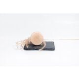 R5 Energizing trdi šampon za telo in lase 70 g | Shoptok.si