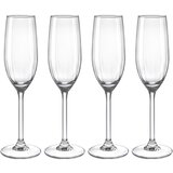 Mömax Set Kozarcev Rosemary - Champagne | Shoptok.si